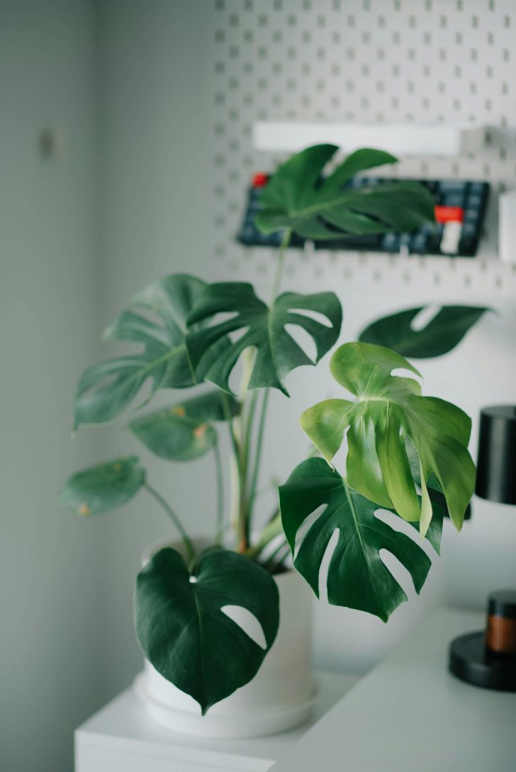 Ranking oczyszczaczy powietrza 2026. Jaki oczyszczacz kupić do domu?